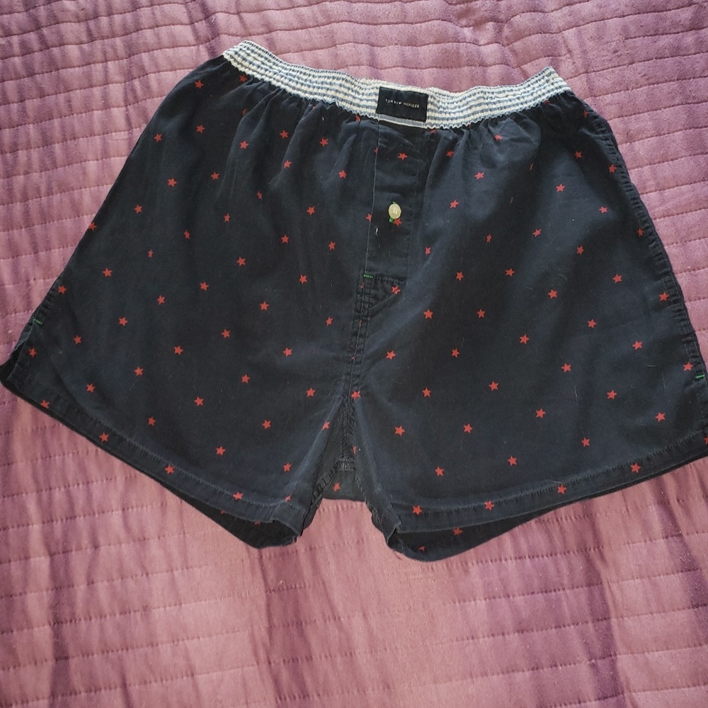 TOMMY HILFIGER COTTON BRIEF - Picture 5 of 6